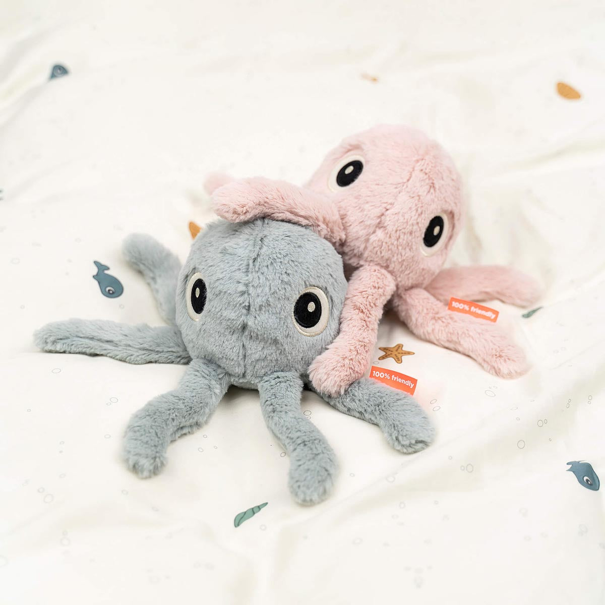 Cuddle Cute Jelly Powder - EX SHOWROOM