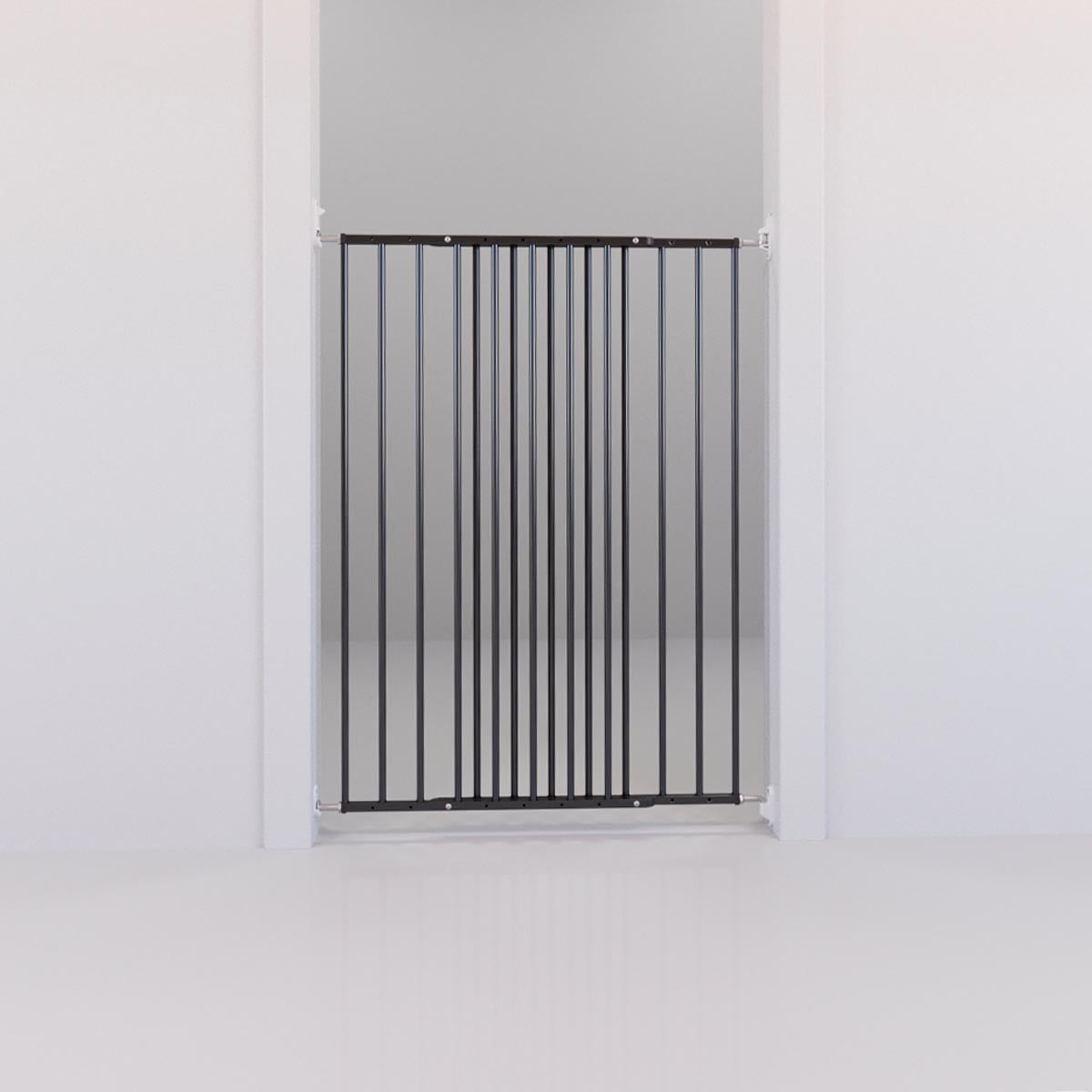 DogSpace Charlie Gate