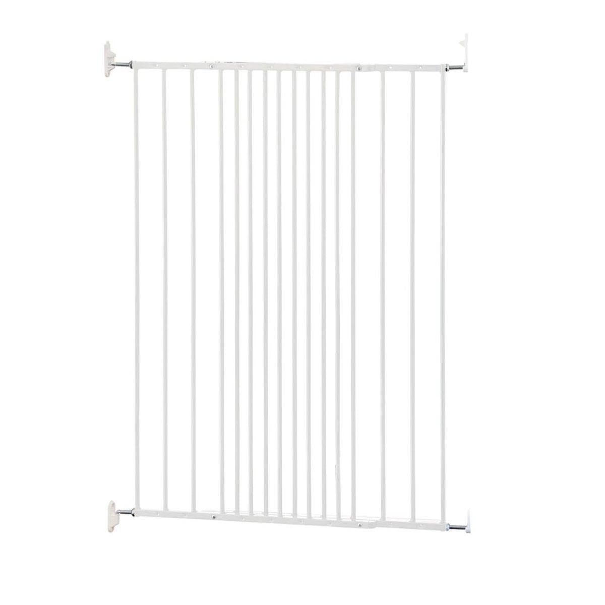 DogSpace Charlie Gate