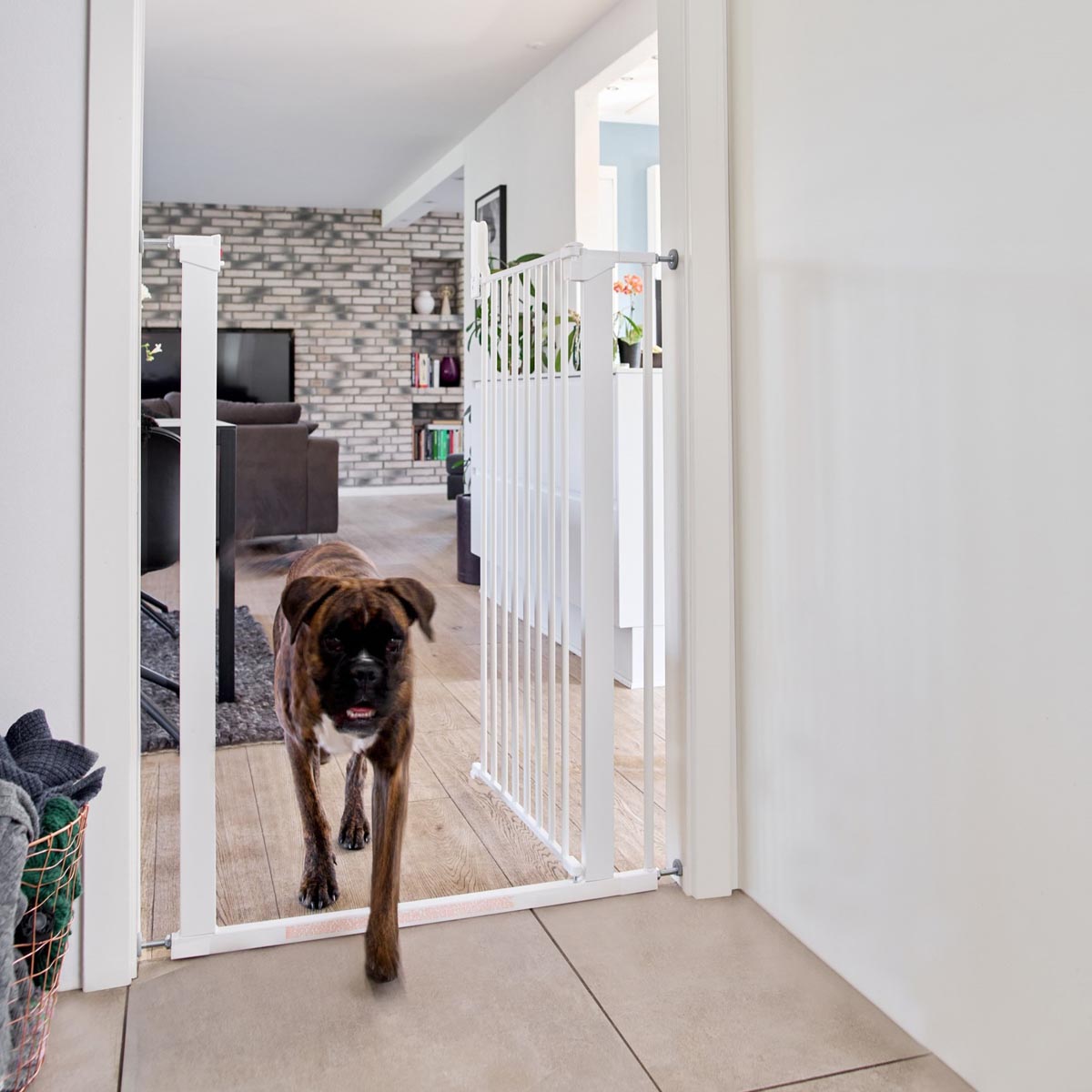 DogSpace Bonnie Gate Extension