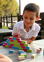 Milaniwood Wall to Wall Building Game