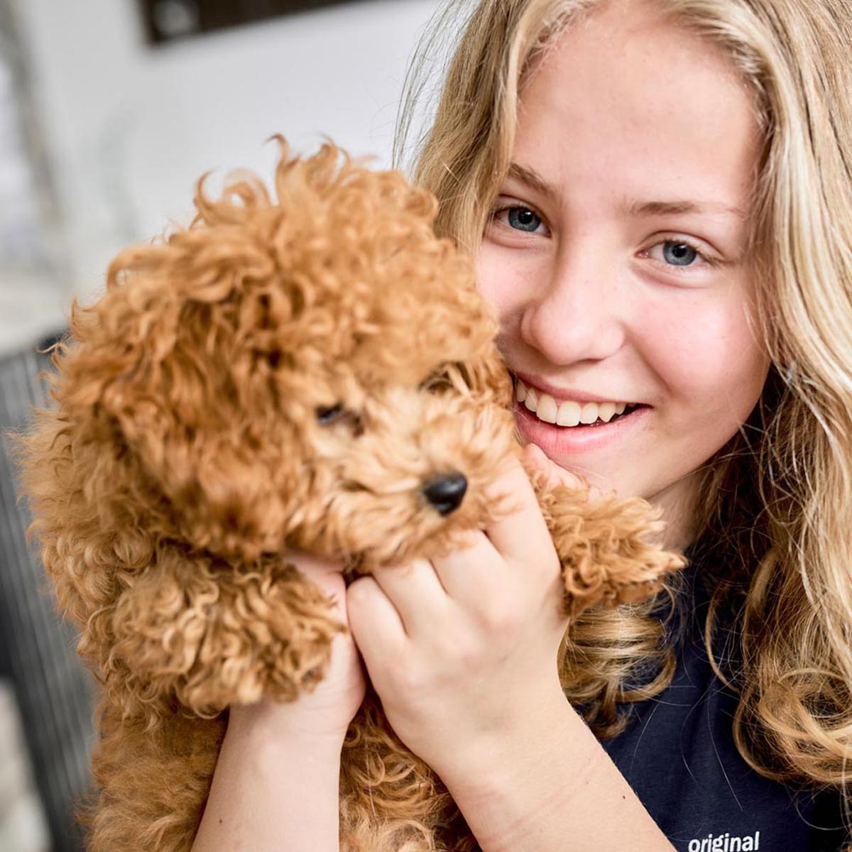 Find the Right Pet Gate for Your Home