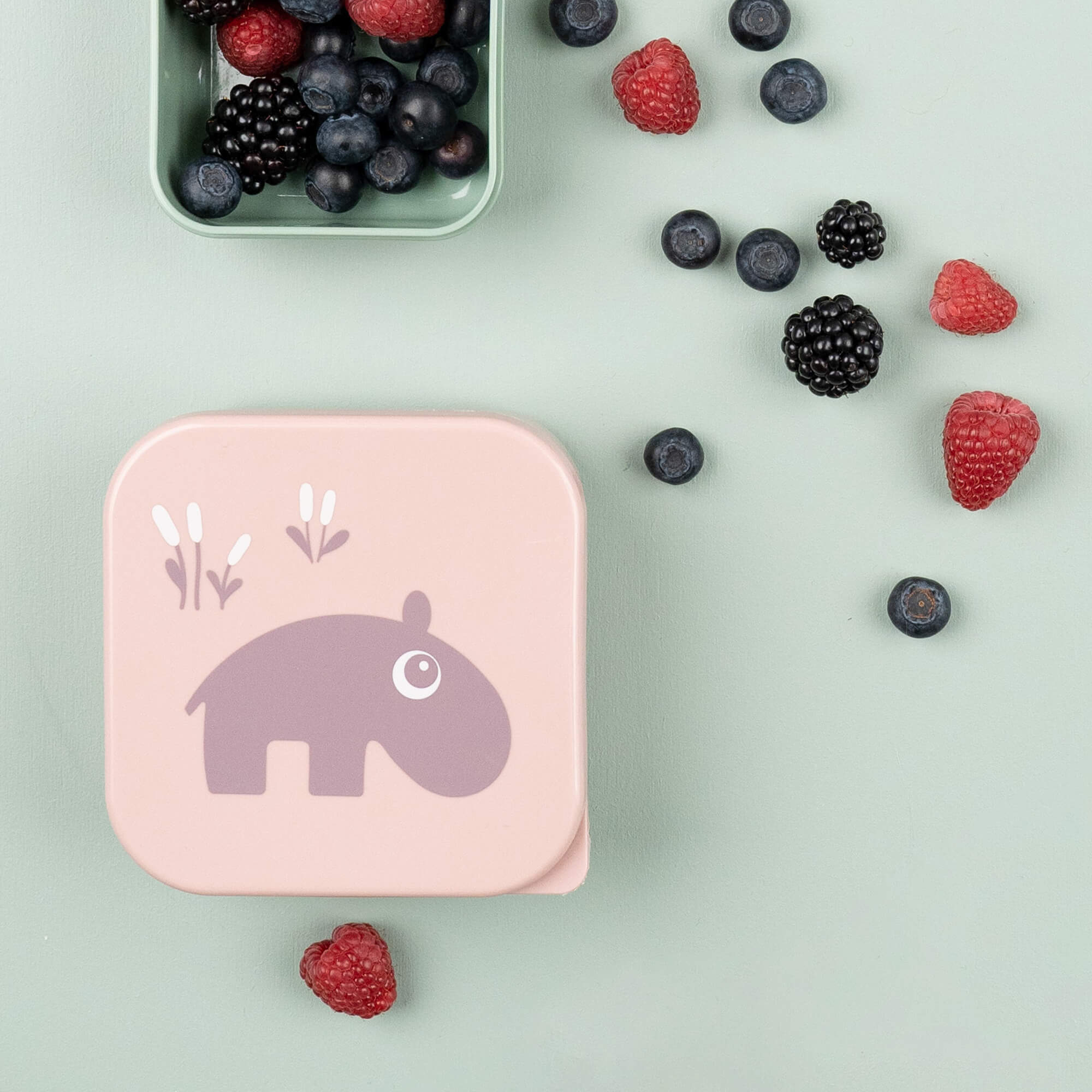 Snack Containers set of 3  - DISPLAY CLEARANCE