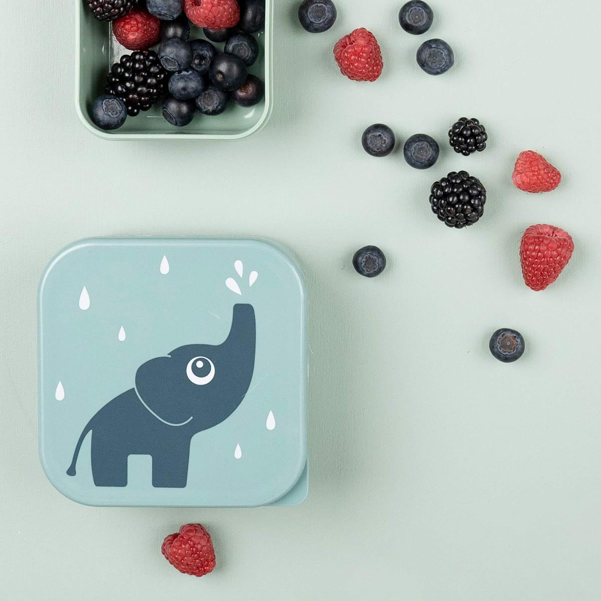 Snack Containers set of 3  - DISPLAY CLEARANCE