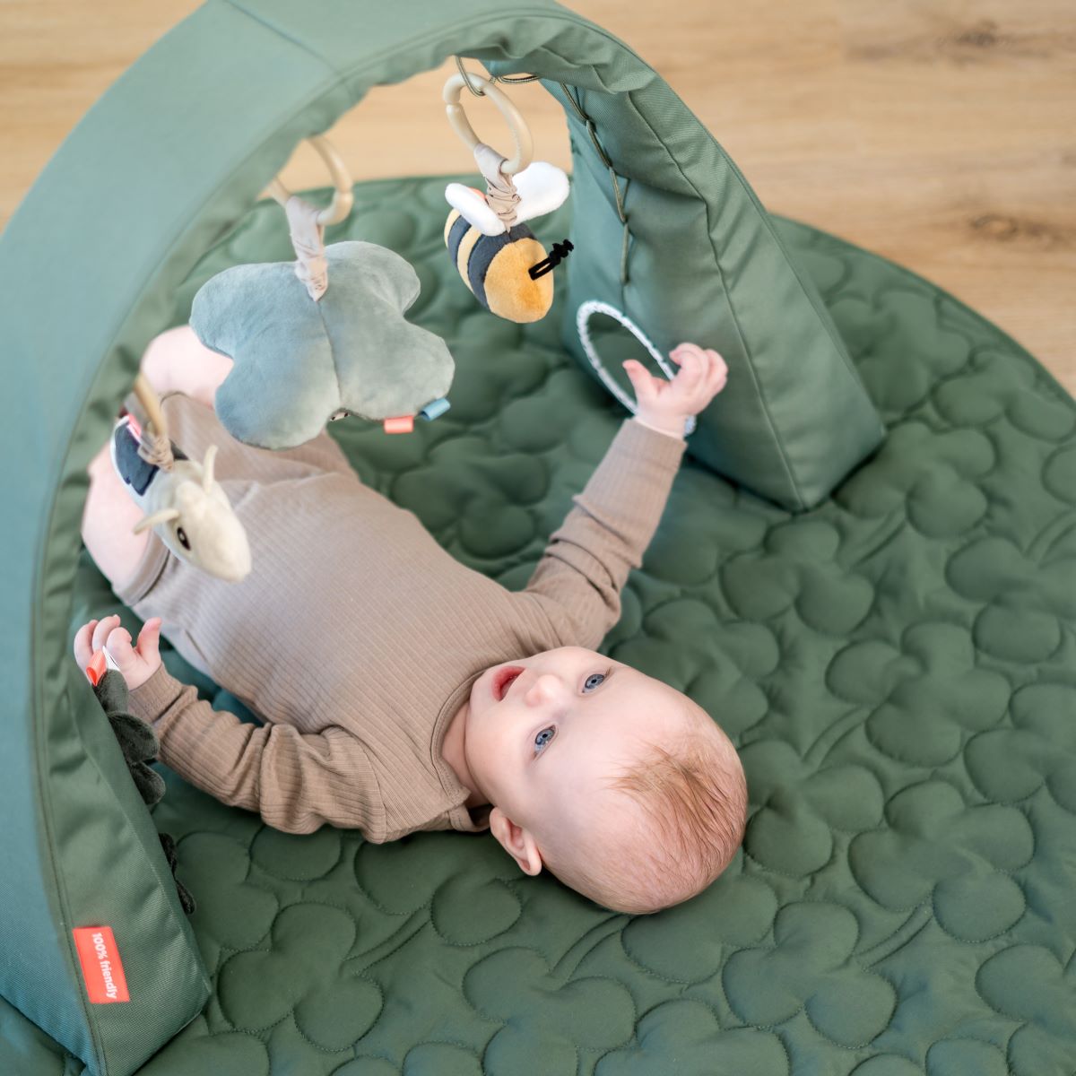 Done by Deer Activity Gym