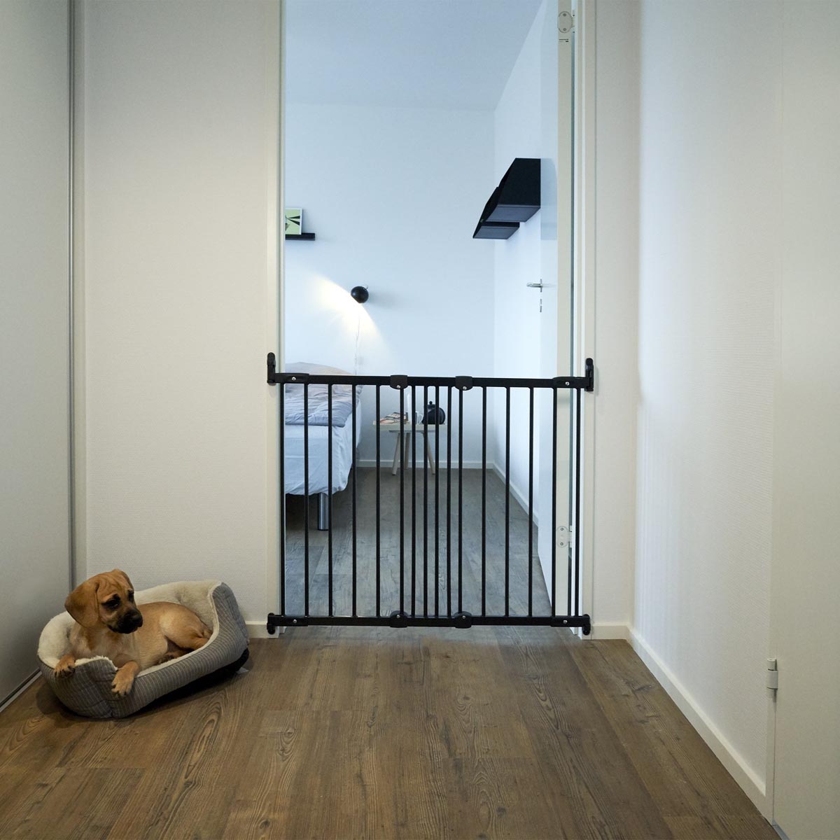 DogSpace Lucky Gate