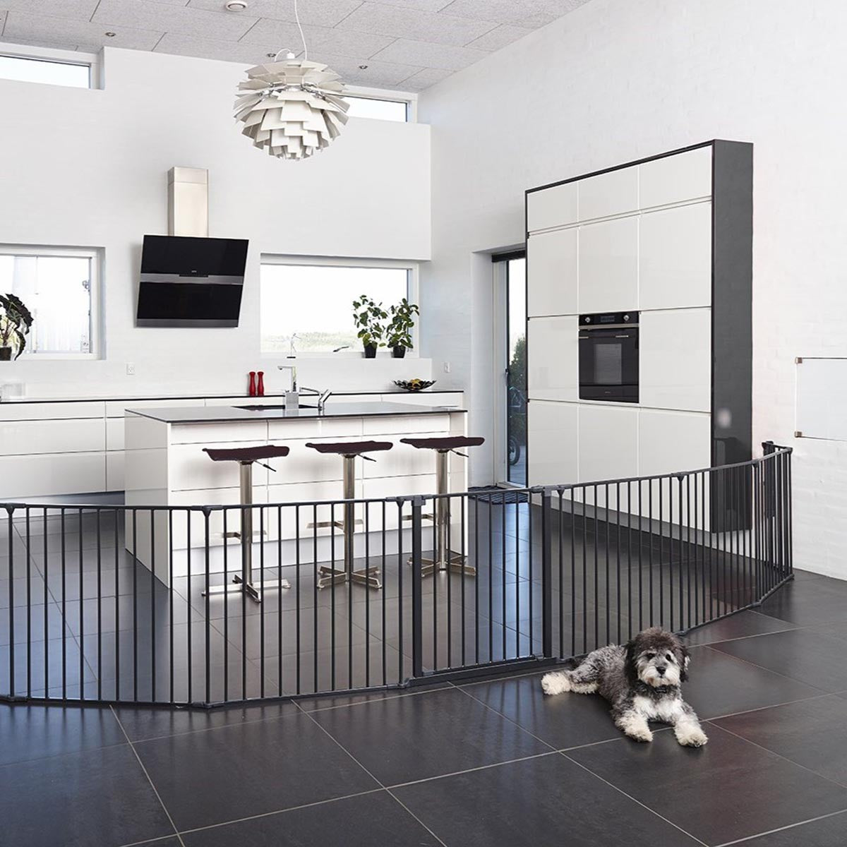 DogSpace Max System Extension Gate