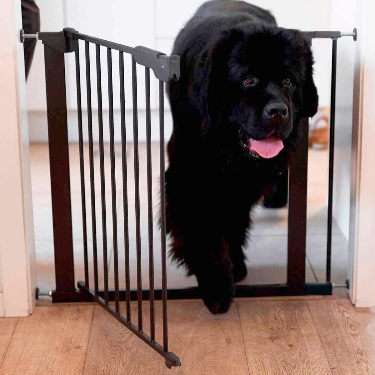 DogSpace Lassie Gate Extension