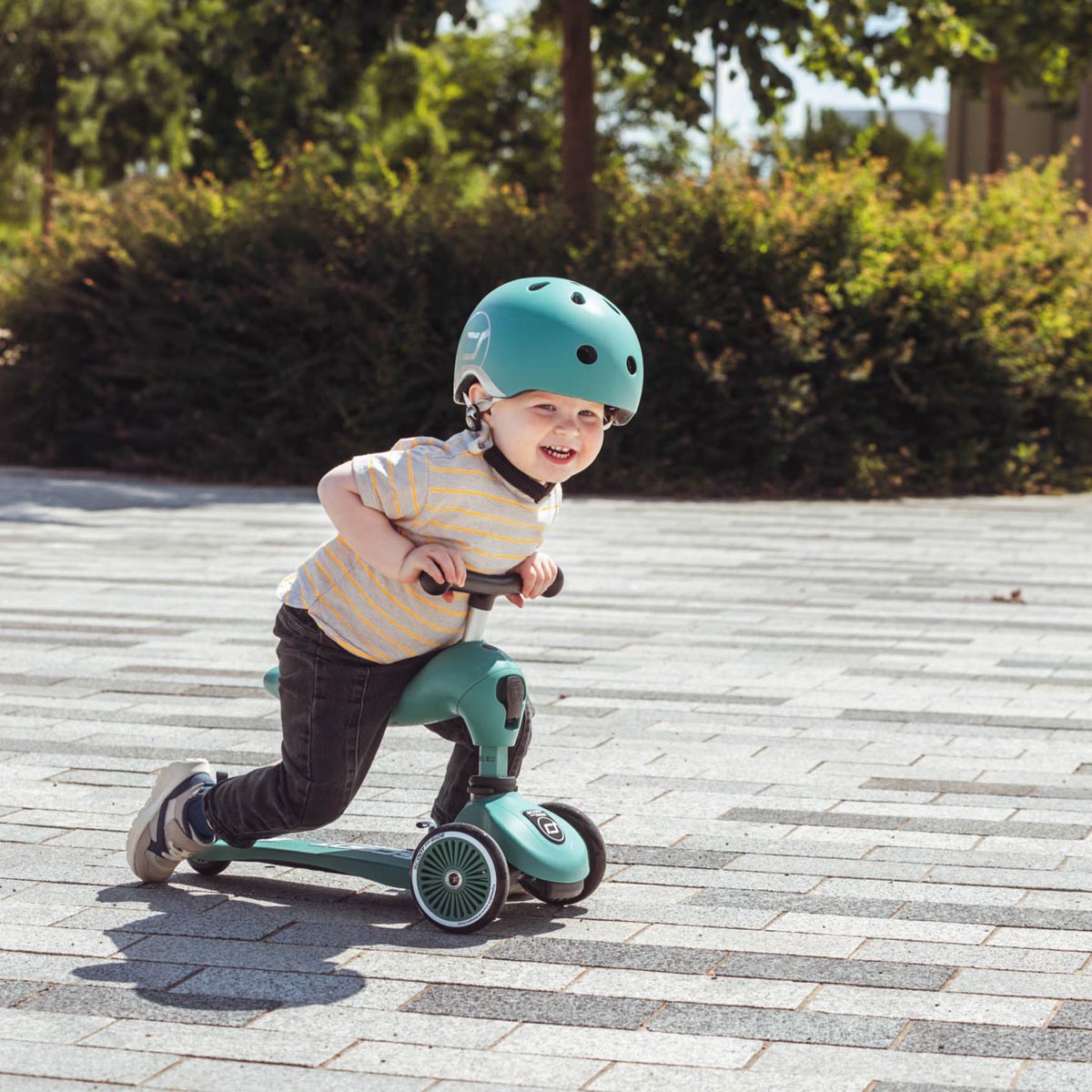 Scoot and Ride Highway Kick 1 Forest