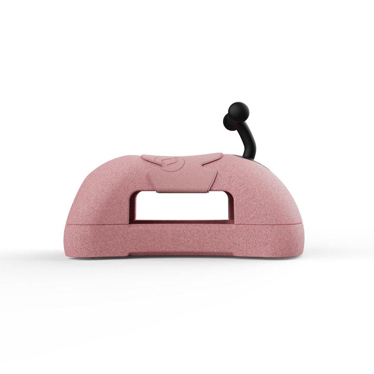 Scoot and Ride My First Rose